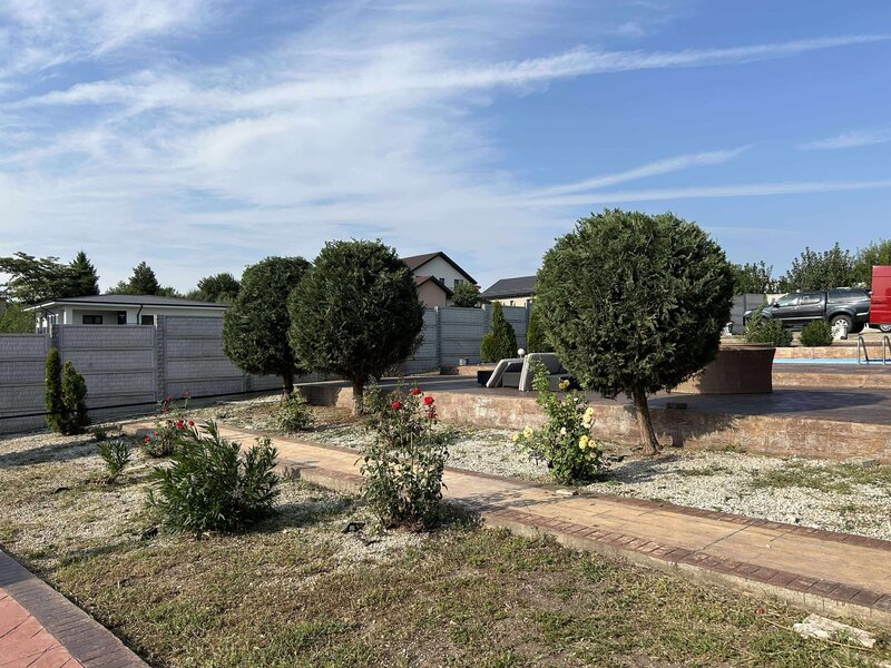 Albine in gradina - Plante, bulbi, amenajari gradini Bucuresti, Ilfov