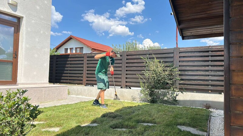 Albine in gradina - Plante, bulbi, amenajari gradini Bucuresti, Ilfov