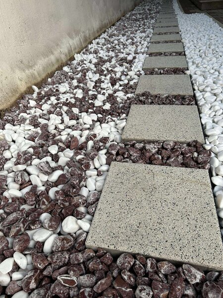 Albine in gradina - Plante, bulbi, amenajari gradini Bucuresti, Ilfov